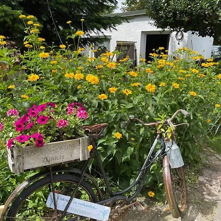 شقة Tiny House Ostsee # Naturwerk Pruchten