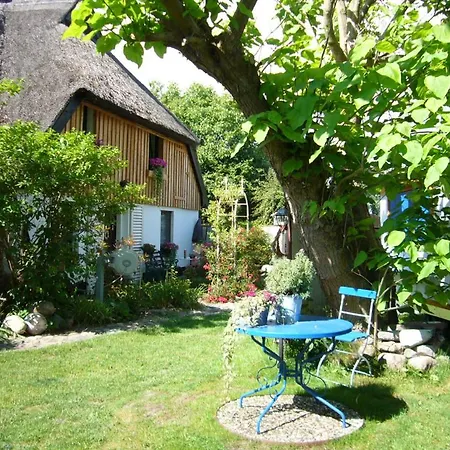 Tiny House Ostsee # Naturwerk *