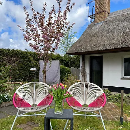 Tiny House Ostsee # Naturwerk דירה