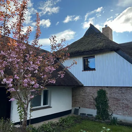 Tiny House Ostsee # Naturwerk Pruchten