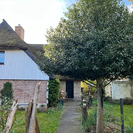 Tiny House Ostsee # Naturwerk