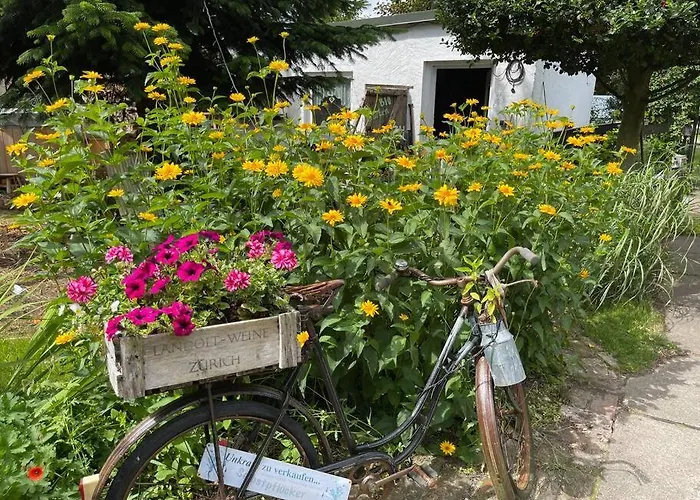 Lejlighed Tiny House Ostsee # Naturwerk Pruchten
