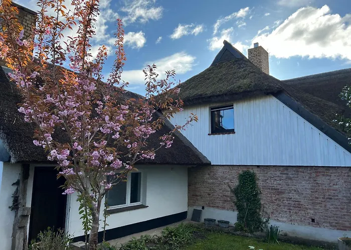 Tiny House Ostsee # Naturwerk Pruchten